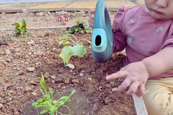 Cuidando el huerto en Rincón Cálido Can Puvil