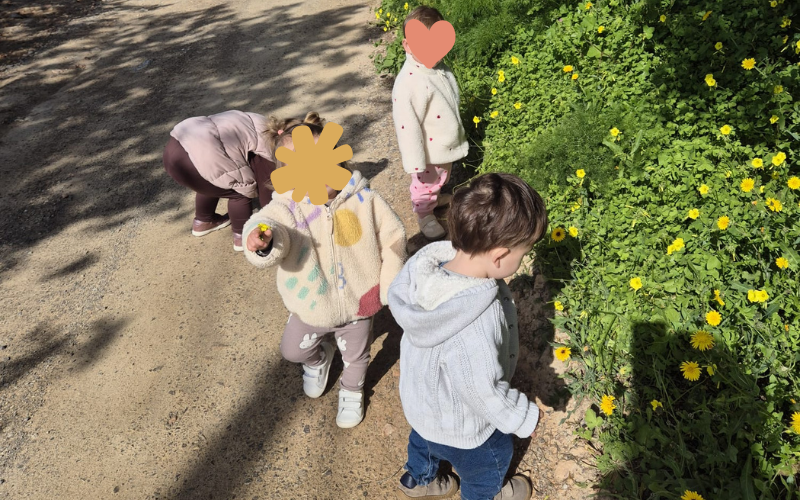 paseosbosque
