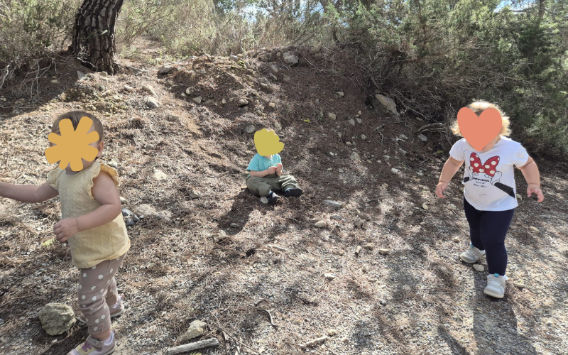 paseosbosque2