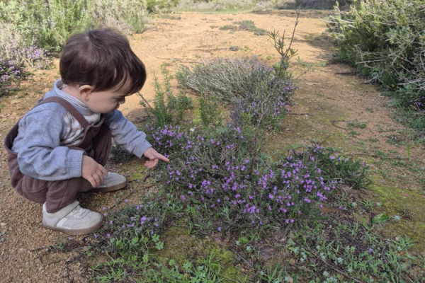 Niño en el campo en Rincón Cálido Can Puvil